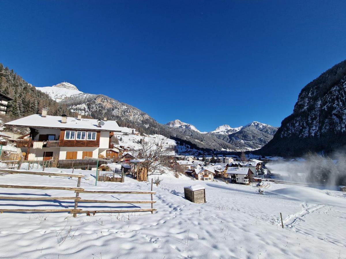 Cesa Cherpei - Dog Friendly Campitello di Fassa Exterior foto