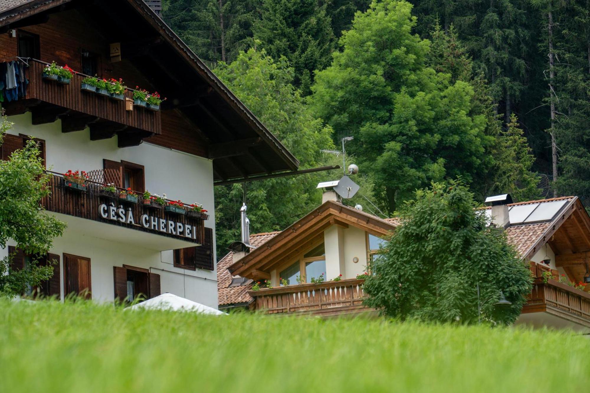 Cesa Cherpei - Dog Friendly Campitello di Fassa Exterior foto